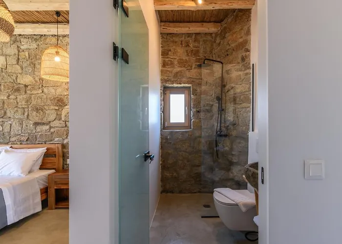 Elements Mykonos 빌라 *